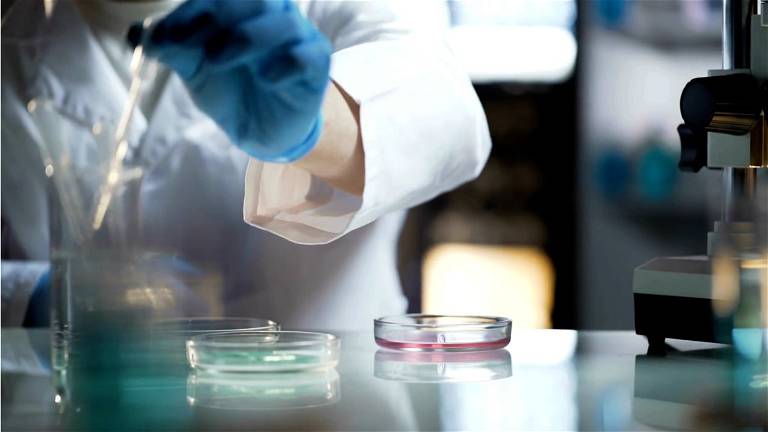 Chinese Scientists Warn Of A Fungus That Has Never Infected Humans Until Now