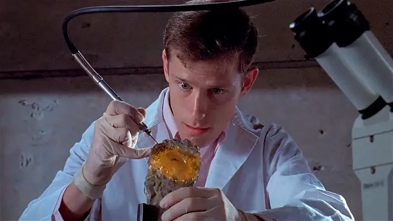 Jurassic Park could be real, but with us. They manage to store our DNA in amber in a surprising way